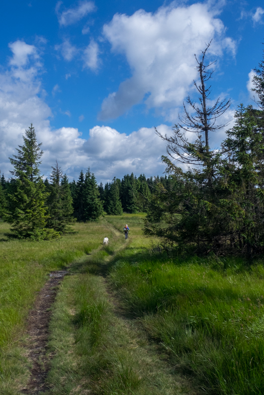 Zo Skaliska do Hnilca (Volovské vrchy)