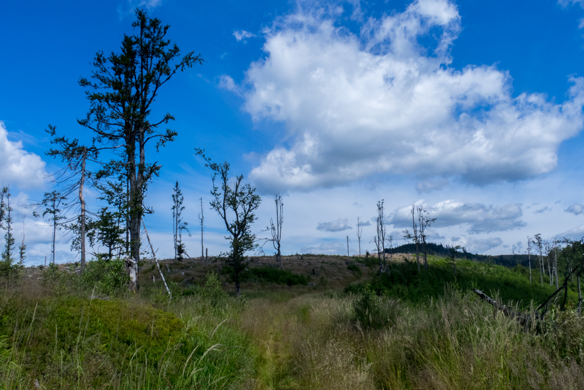 Zo Skaliska do Hnilca (Volovské vrchy)