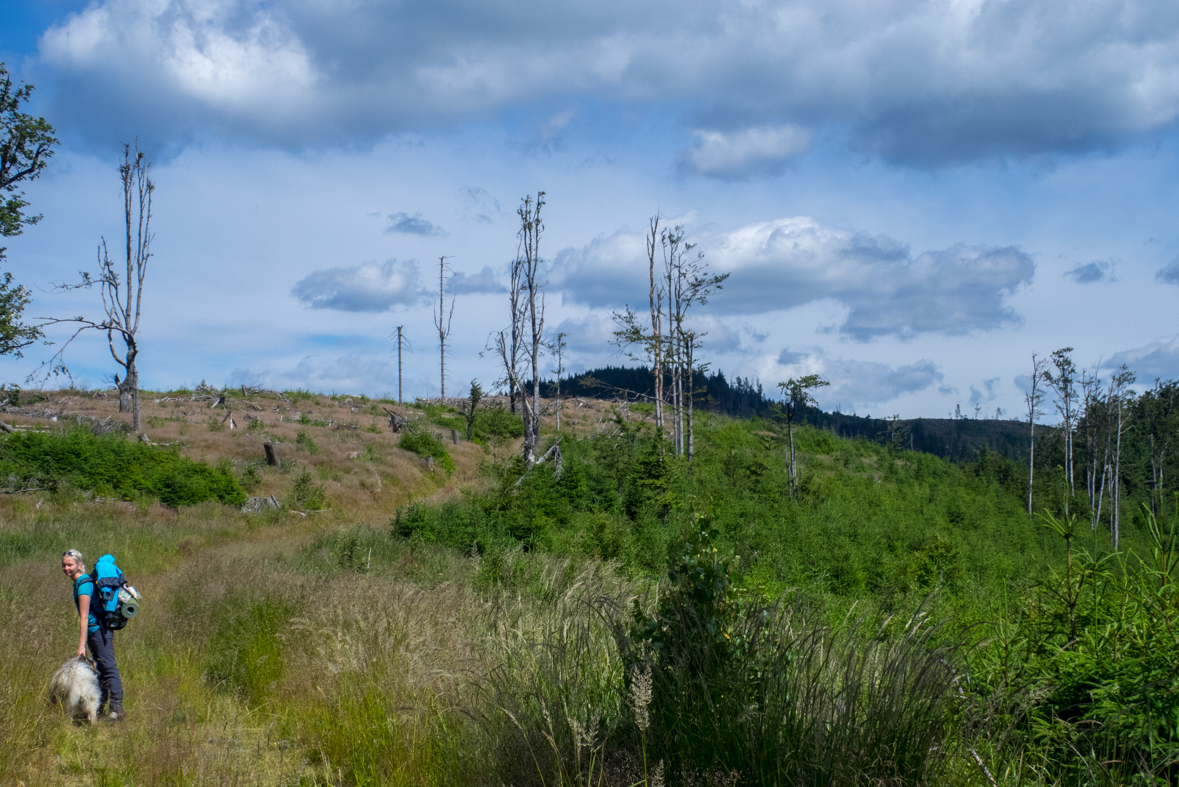 Zo Skaliska do Hnilca (Volovské vrchy)