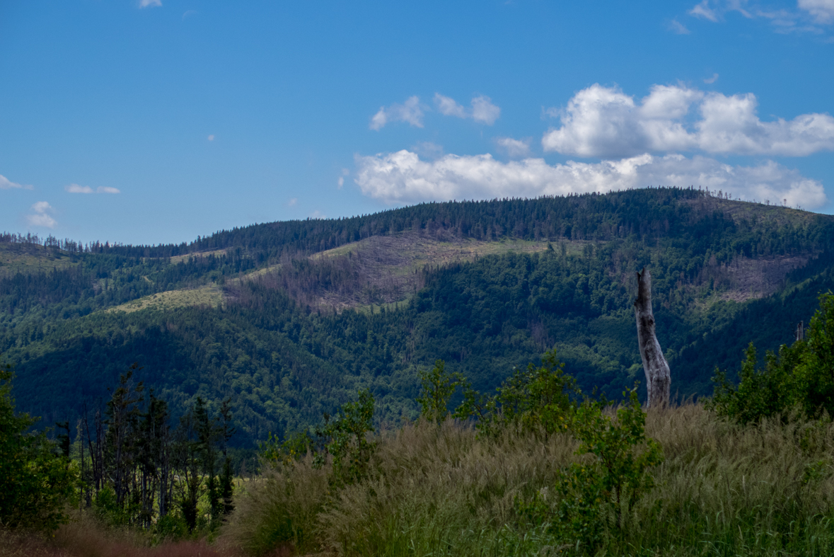 Zo Skaliska do Hnilca (Volovské vrchy)