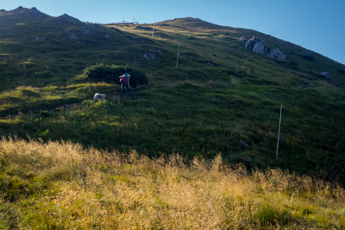 Zo Štefáničky cez Rovnú hoľu do Nižnej Boce (Nízke Tatry)