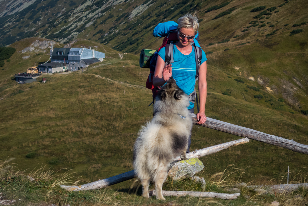 Zo Štefáničky cez Rovnú hoľu do Nižnej Boce (Nízke Tatry)