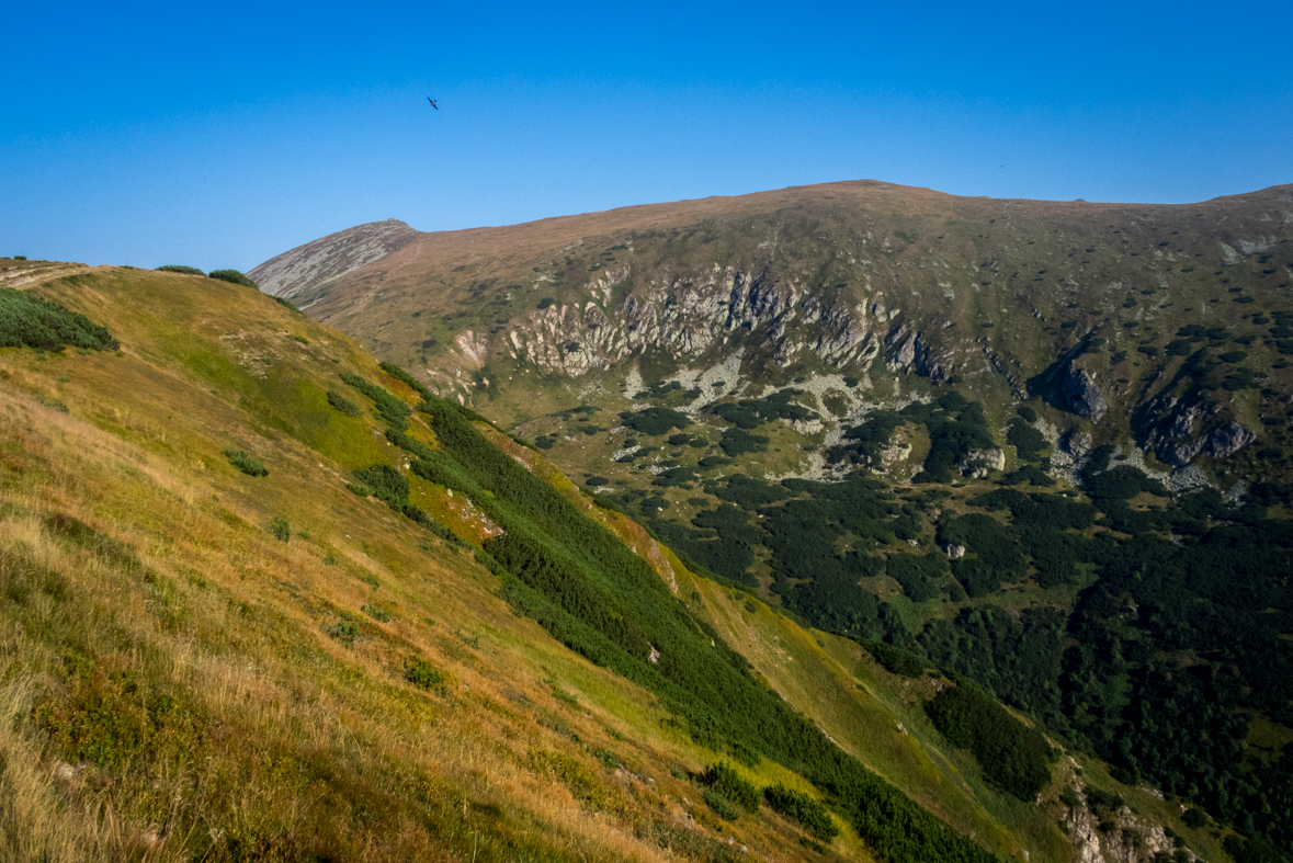 Zo Štefáničky cez Rovnú hoľu do Nižnej Boce (Nízke Tatry)