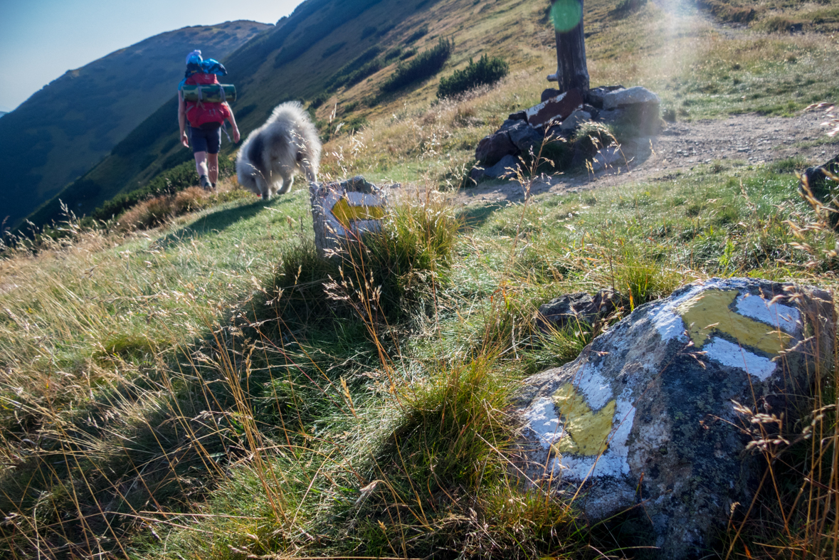 Zo Štefáničky cez Rovnú hoľu do Nižnej Boce (Nízke Tatry)