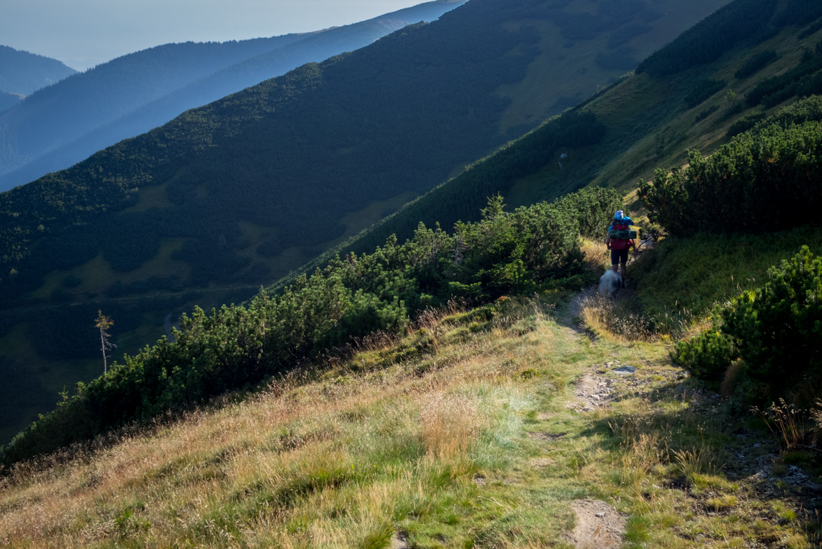 Zo Štefáničky cez Rovnú hoľu do Nižnej Boce (Nízke Tatry)