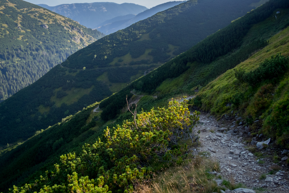 Zo Štefáničky cez Rovnú hoľu do Nižnej Boce (Nízke Tatry)