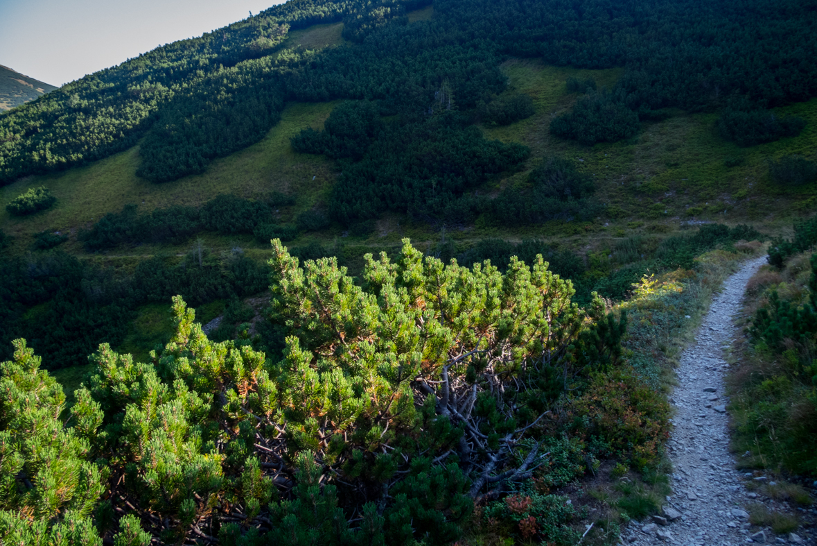 Zo Štefáničky cez Rovnú hoľu do Nižnej Boce (Nízke Tatry)