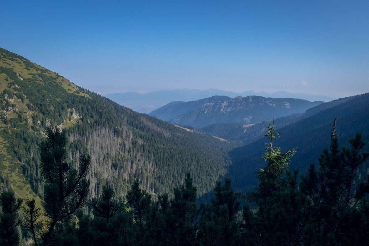 Zo Štefáničky cez Rovnú hoľu do Nižnej Boce (Nízke Tatry)