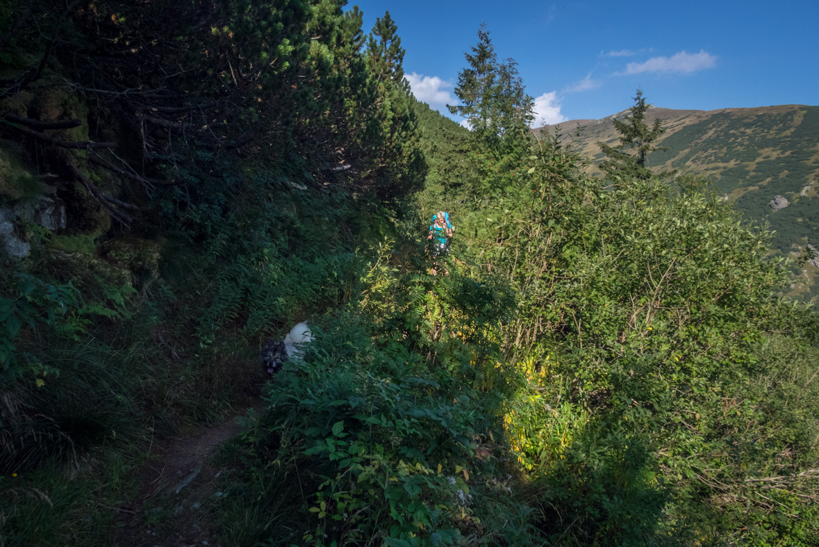 Zo Štefáničky cez Rovnú hoľu do Nižnej Boce (Nízke Tatry)