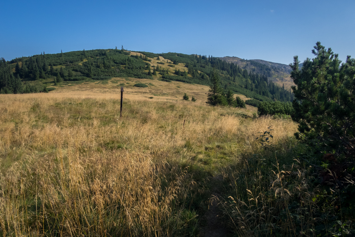 Zo Štefáničky cez Rovnú hoľu do Nižnej Boce (Nízke Tatry)