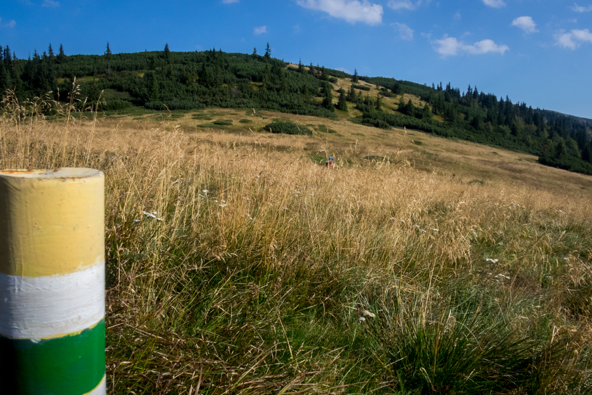 Zo Štefáničky cez Rovnú hoľu do Nižnej Boce (Nízke Tatry)