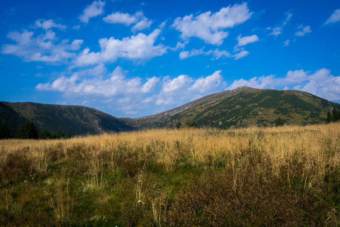 Zo Štefáničky cez Rovnú hoľu do Nižnej Boce (Nízke Tatry)