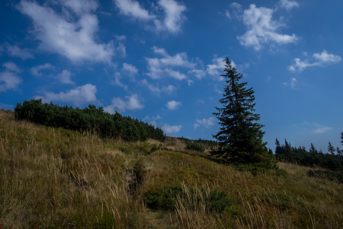 Zo Štefáničky cez Rovnú hoľu do Nižnej Boce (Nízke Tatry)