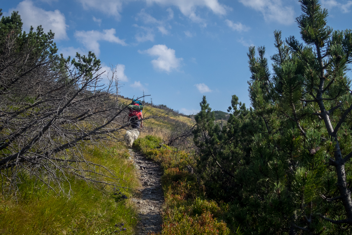 Zo Štefáničky cez Rovnú hoľu do Nižnej Boce (Nízke Tatry)