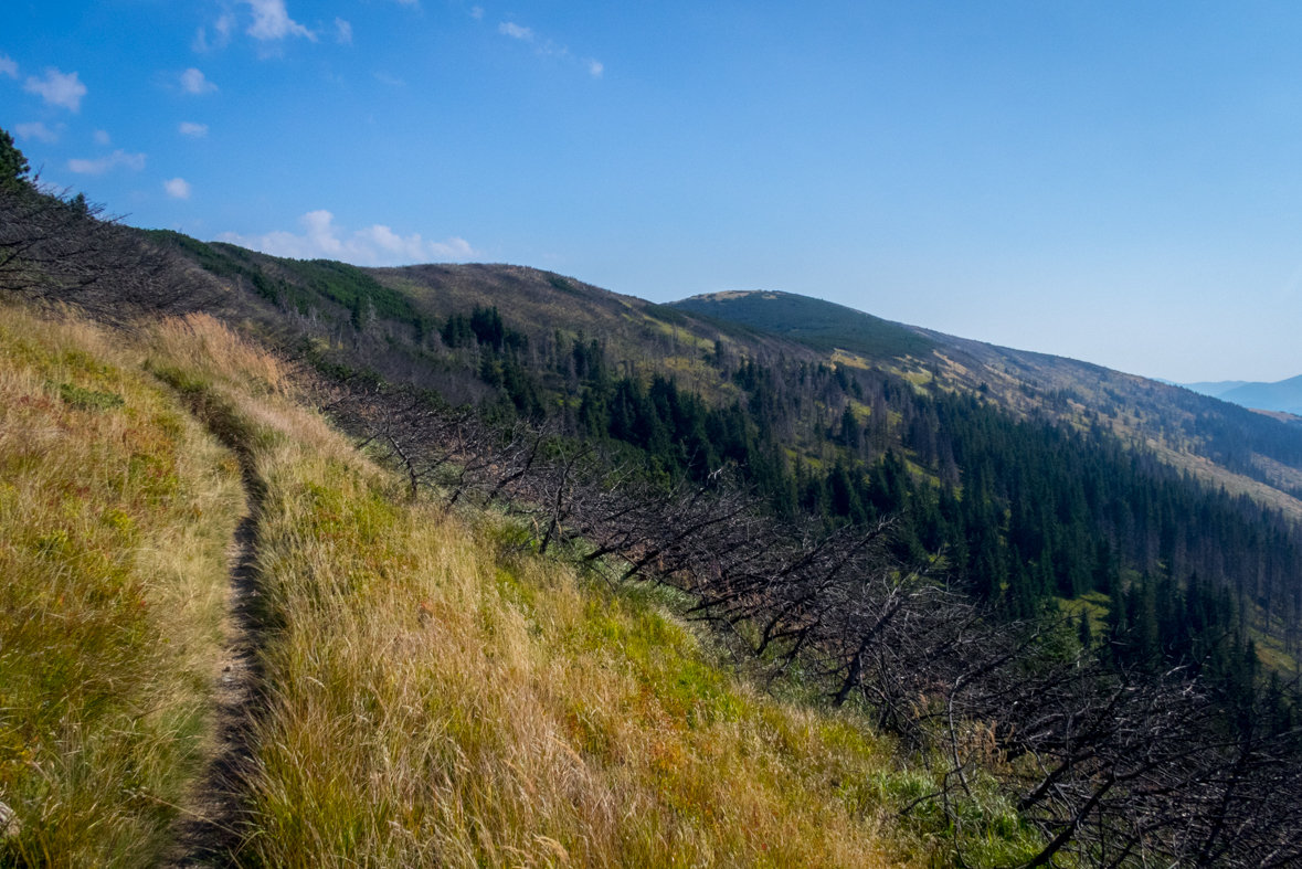 Zo Štefáničky cez Rovnú hoľu do Nižnej Boce (Nízke Tatry)