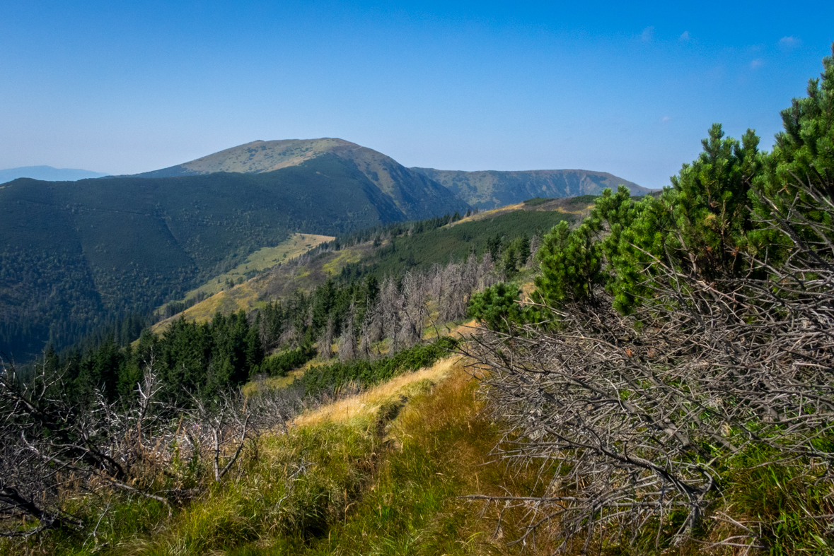 Zo Štefáničky cez Rovnú hoľu do Nižnej Boce (Nízke Tatry)