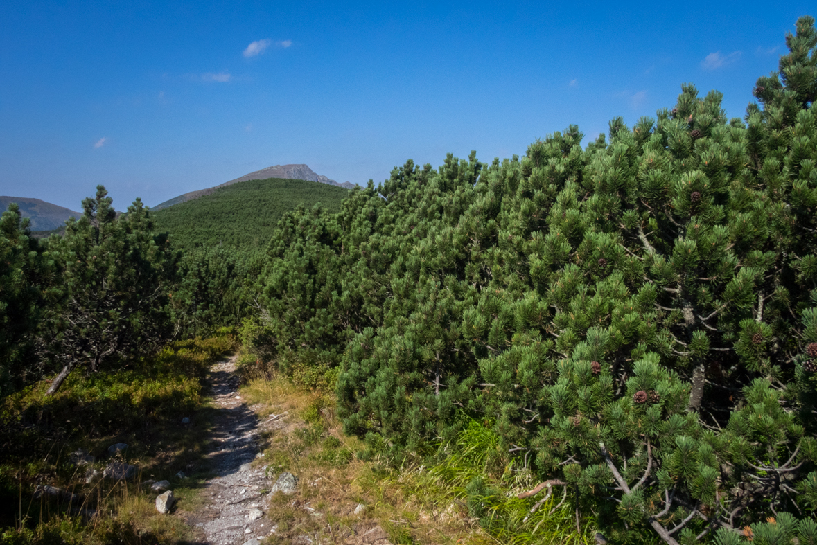 Zo Štefáničky cez Rovnú hoľu do Nižnej Boce (Nízke Tatry)