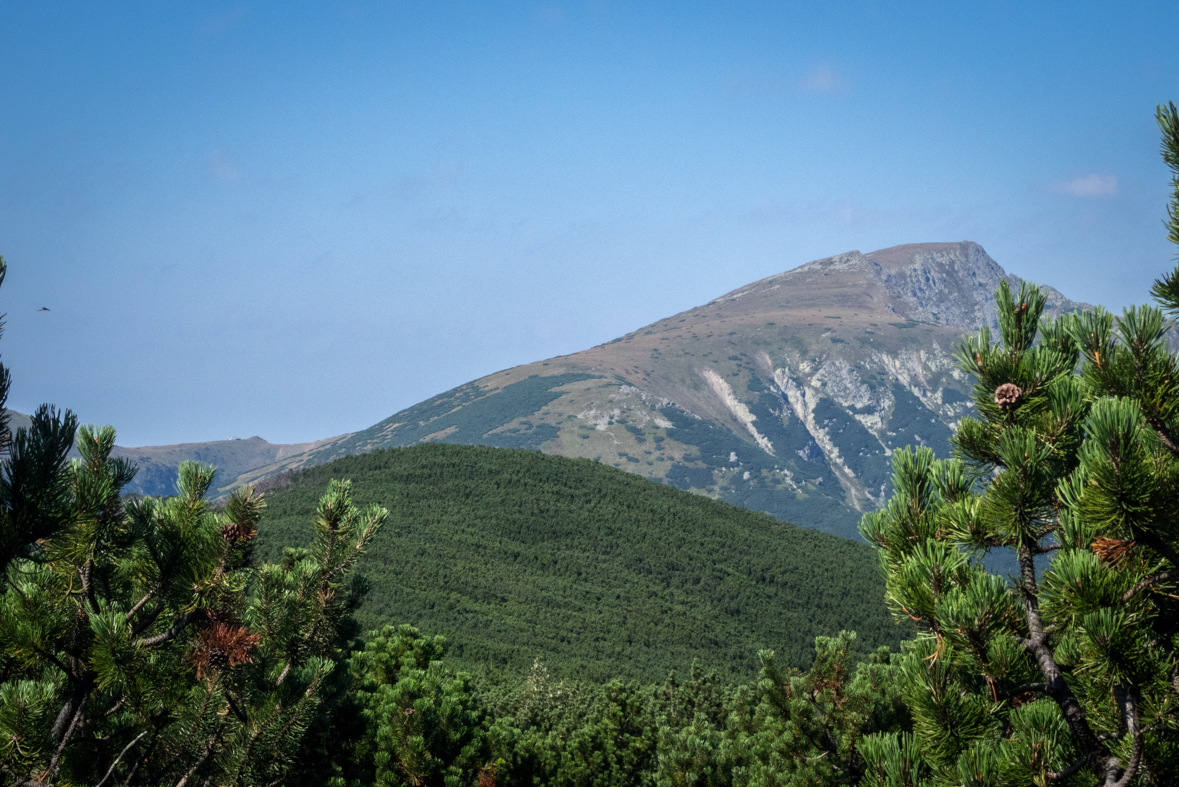 Zo Štefáničky cez Rovnú hoľu do Nižnej Boce (Nízke Tatry)