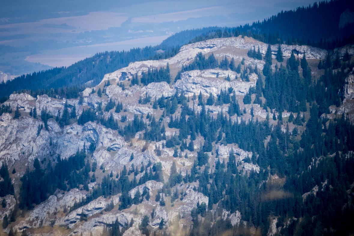 Zo Štefáničky cez Rovnú hoľu do Nižnej Boce (Nízke Tatry)