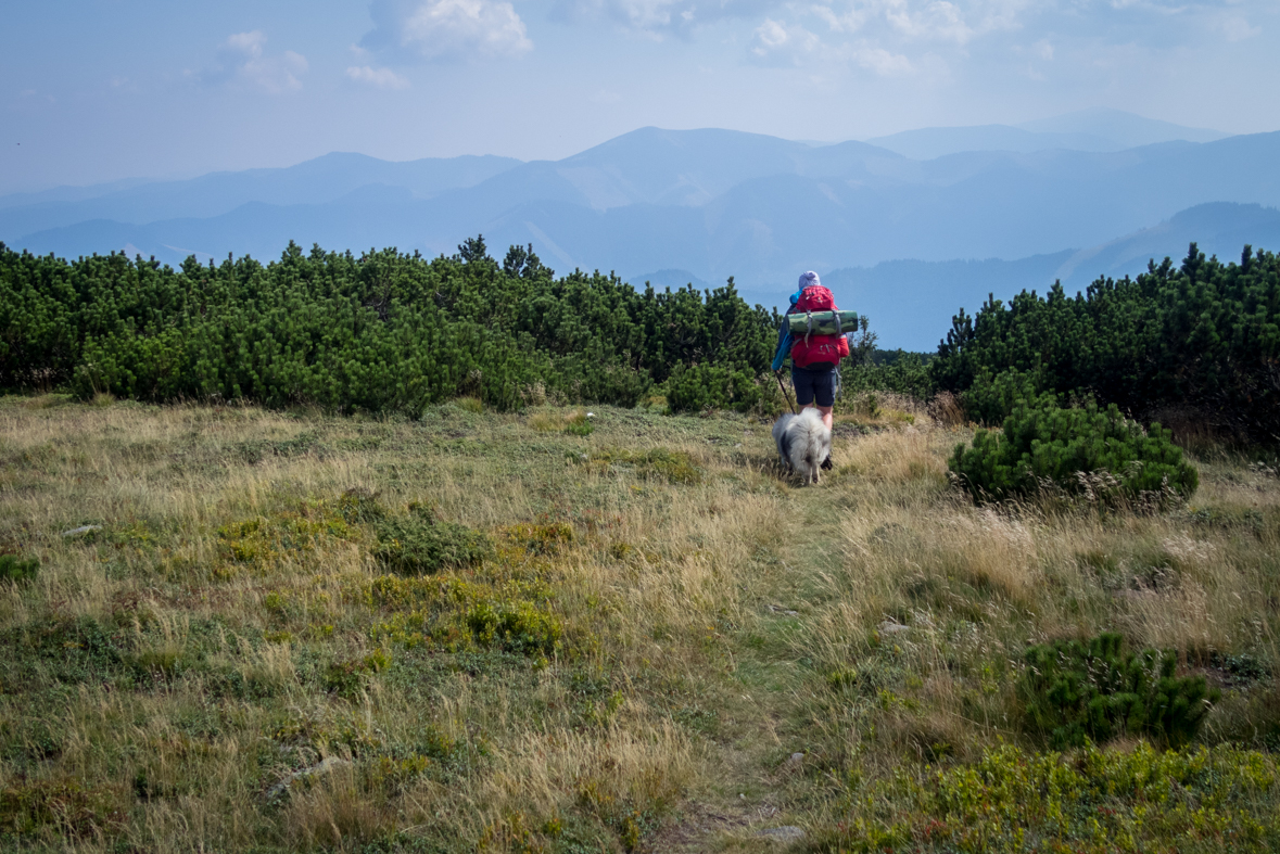 Zo Štefáničky cez Rovnú hoľu do Nižnej Boce (Nízke Tatry)