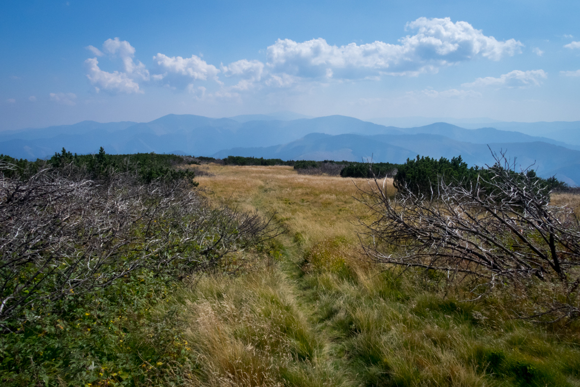 Zo Štefáničky cez Rovnú hoľu do Nižnej Boce (Nízke Tatry)