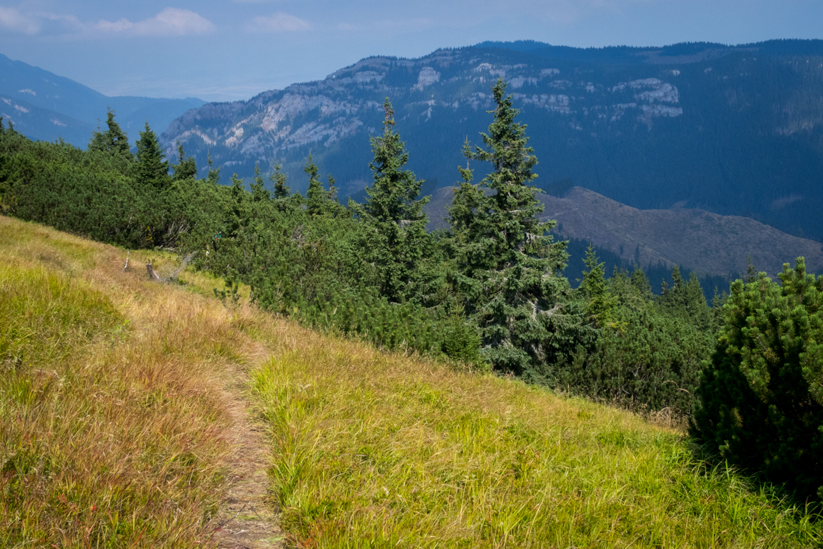 Zo Štefáničky cez Rovnú hoľu do Nižnej Boce (Nízke Tatry)