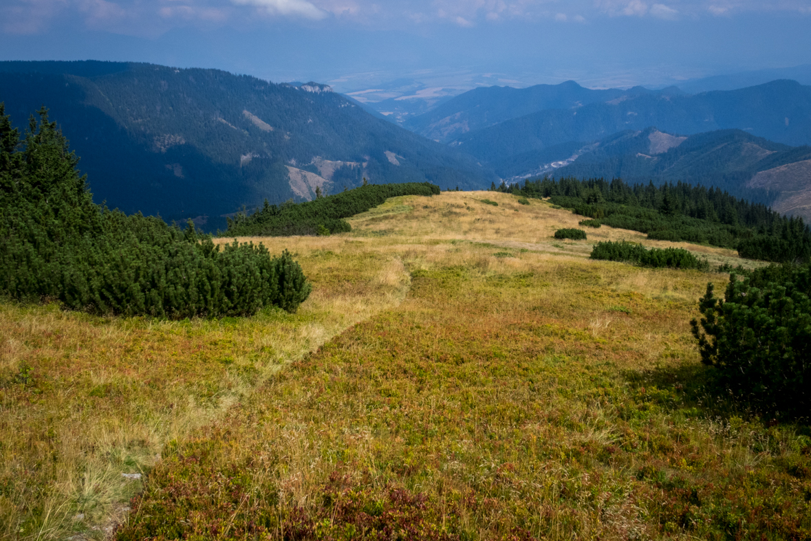 Zo Štefáničky cez Rovnú hoľu do Nižnej Boce (Nízke Tatry)