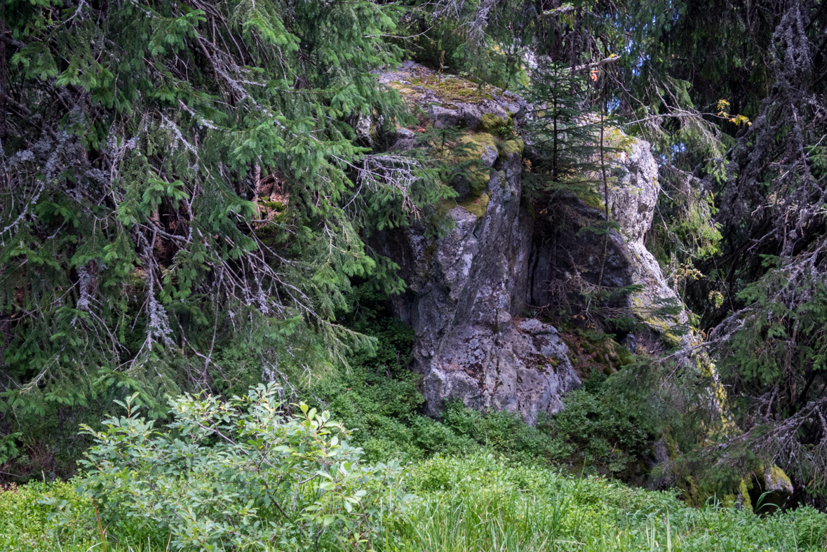 Zo Štefáničky cez Rovnú hoľu do Nižnej Boce (Nízke Tatry)