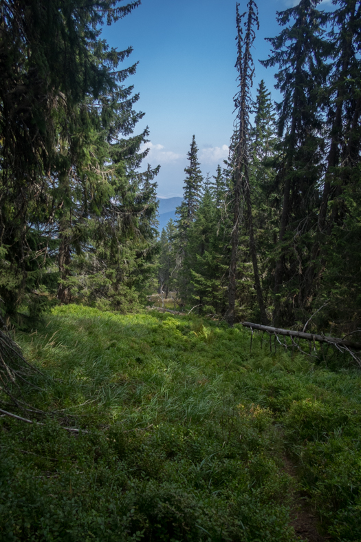 Zo Štefáničky cez Rovnú hoľu do Nižnej Boce (Nízke Tatry)