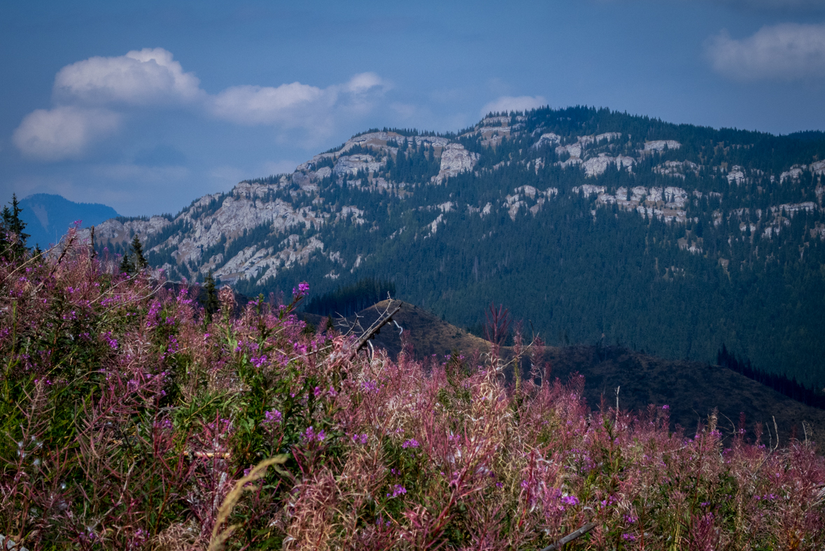 Zo Štefáničky cez Rovnú hoľu do Nižnej Boce (Nízke Tatry)