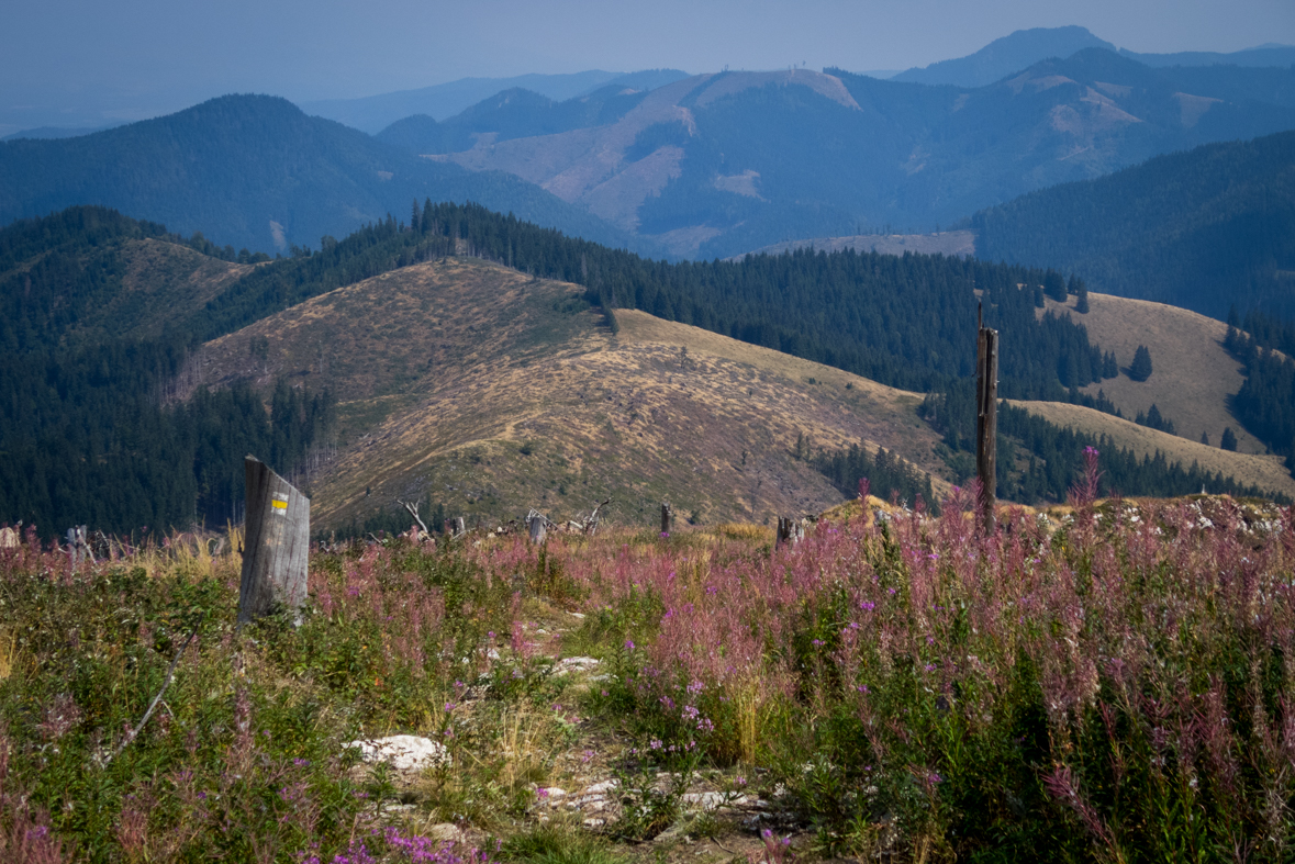 Zo Štefáničky cez Rovnú hoľu do Nižnej Boce (Nízke Tatry)