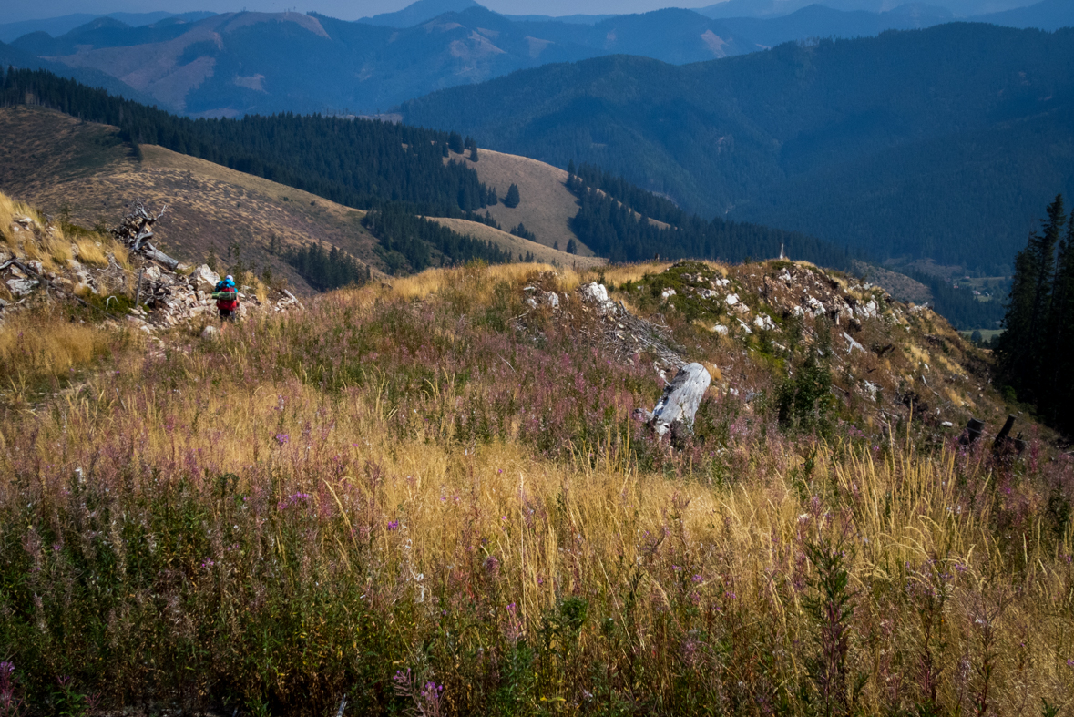 Zo Štefáničky cez Rovnú hoľu do Nižnej Boce (Nízke Tatry)