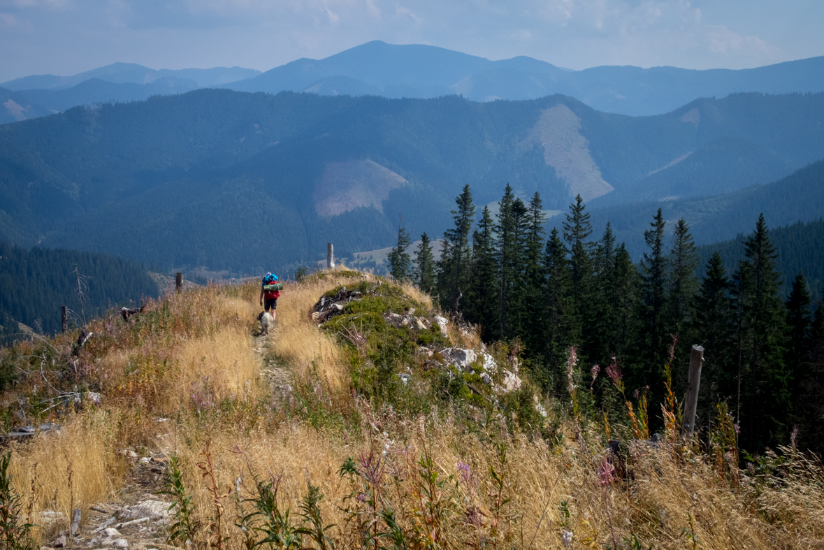 Zo Štefáničky cez Rovnú hoľu do Nižnej Boce (Nízke Tatry)