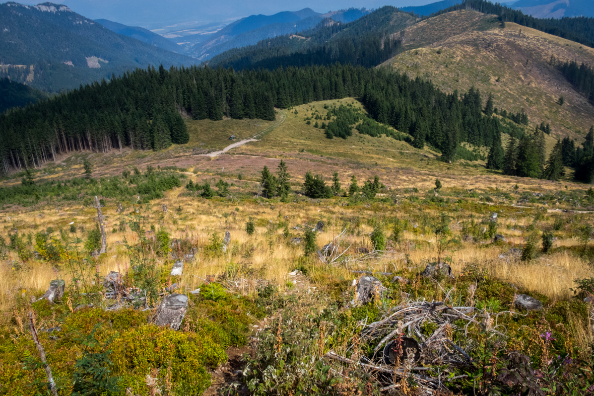 Zo Štefáničky cez Rovnú hoľu do Nižnej Boce (Nízke Tatry)