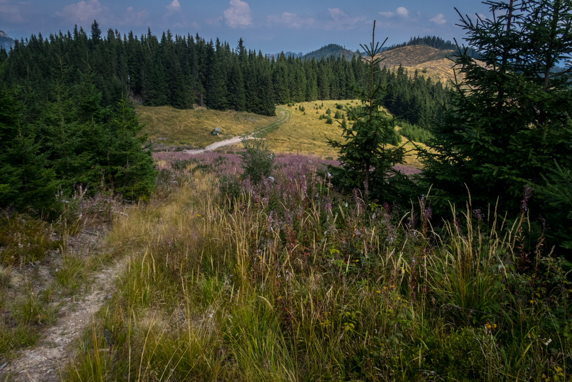 Zo Štefáničky cez Rovnú hoľu do Nižnej Boce (Nízke Tatry)