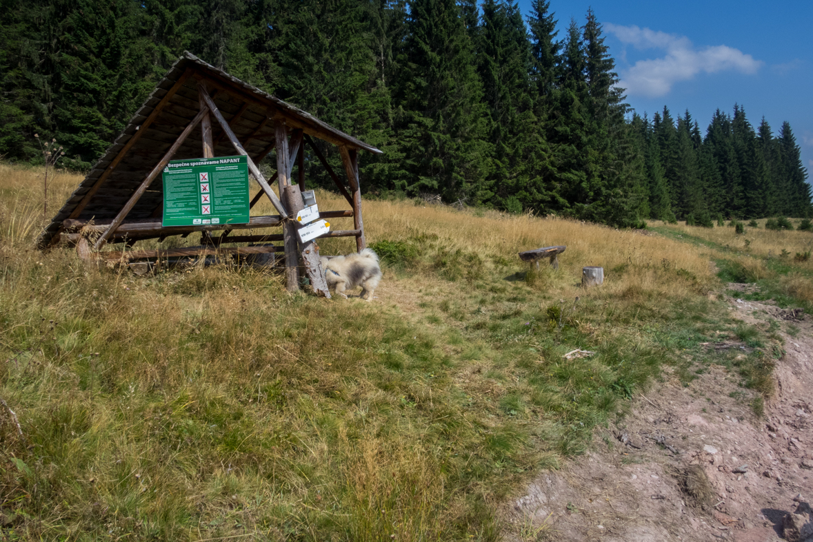 Zo Štefáničky cez Rovnú hoľu do Nižnej Boce (Nízke Tatry)