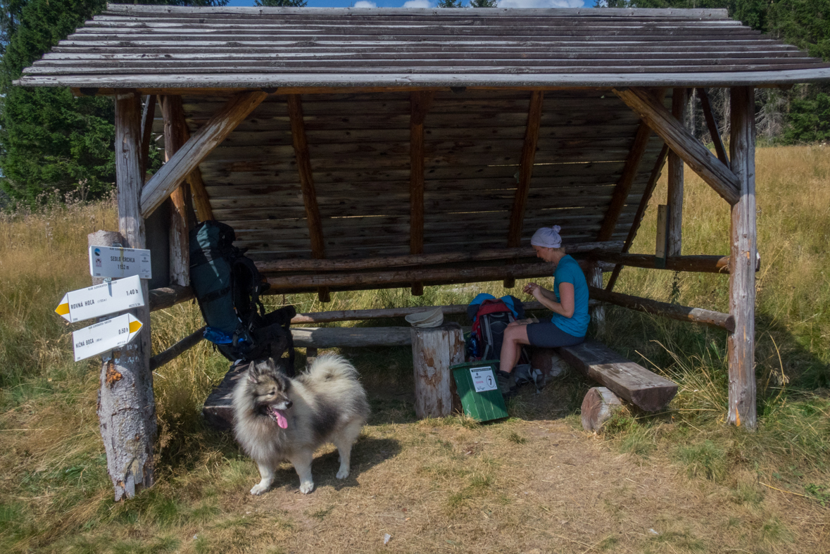 Zo Štefáničky cez Rovnú hoľu do Nižnej Boce (Nízke Tatry)