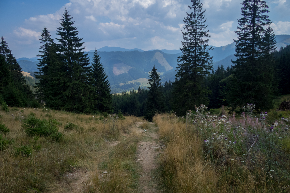 Zo Štefáničky cez Rovnú hoľu do Nižnej Boce (Nízke Tatry)