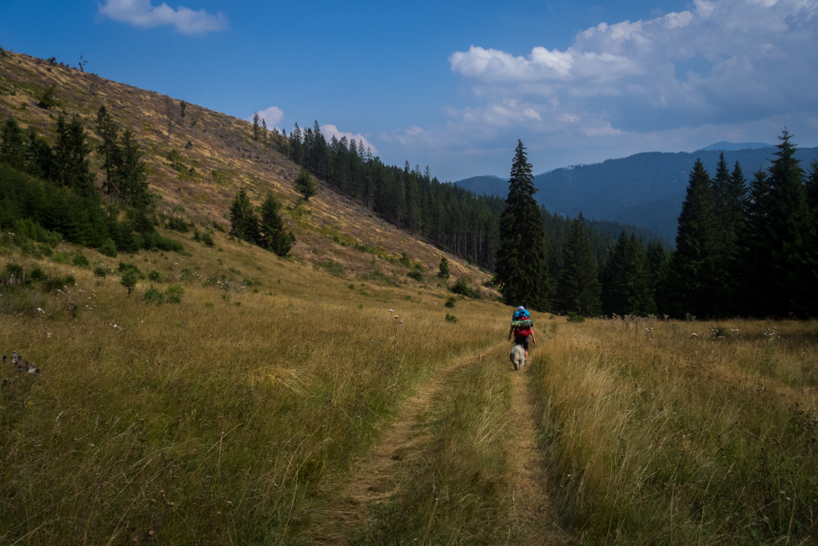 Zo Štefáničky cez Rovnú hoľu do Nižnej Boce (Nízke Tatry)