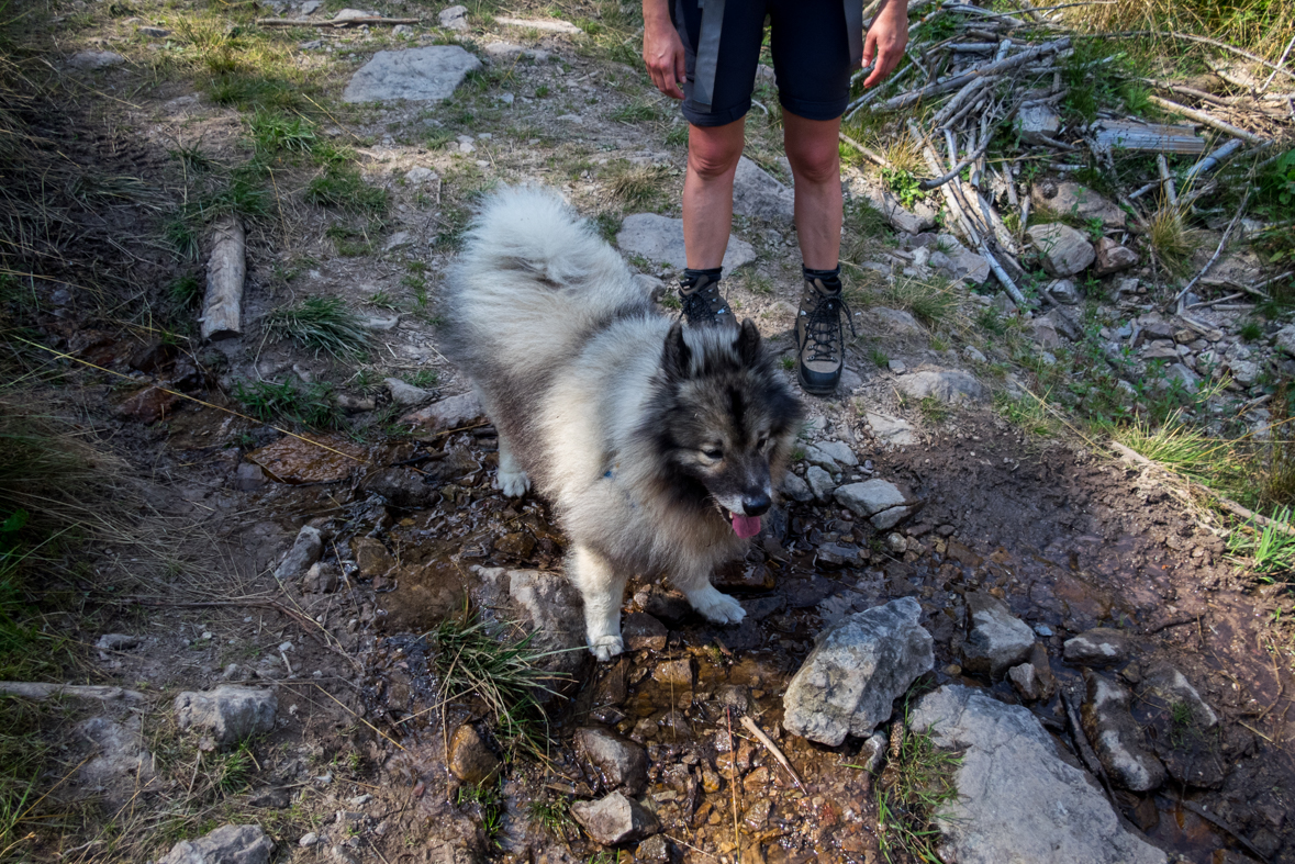 Zo Štefáničky cez Rovnú hoľu do Nižnej Boce (Nízke Tatry)