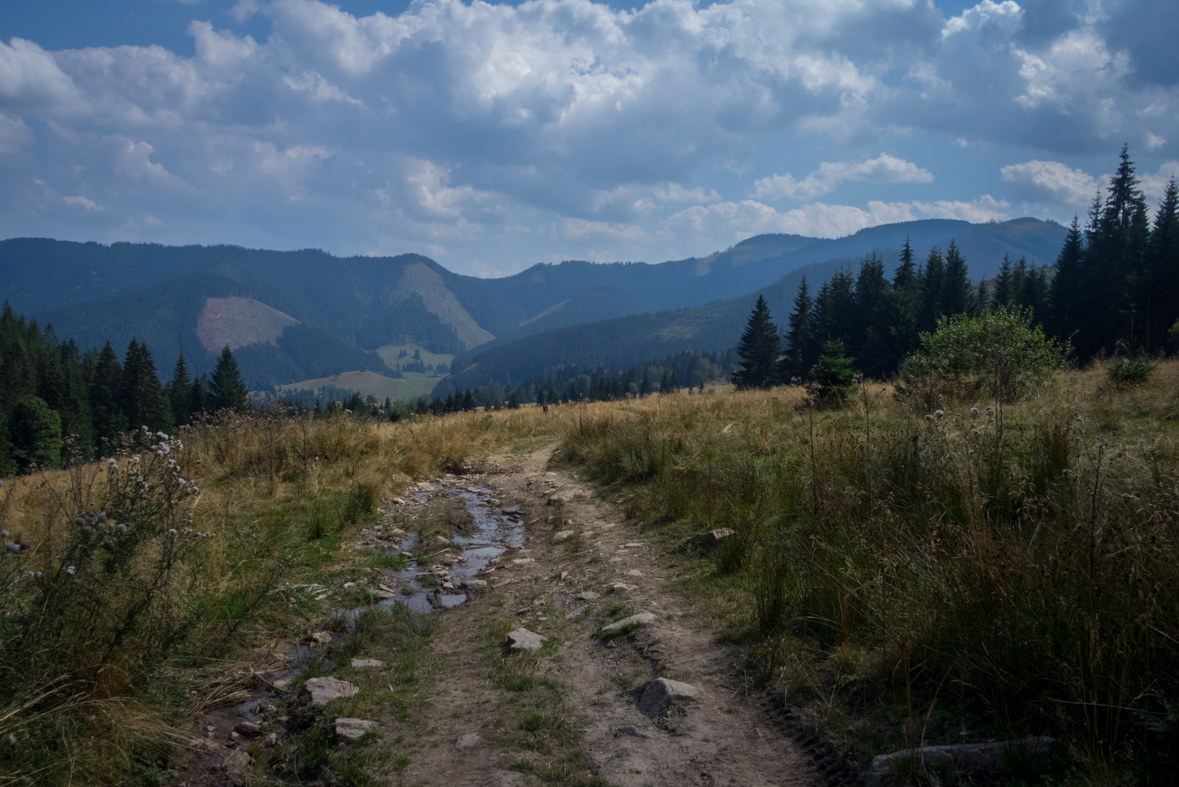 Zo Štefáničky cez Rovnú hoľu do Nižnej Boce (Nízke Tatry)