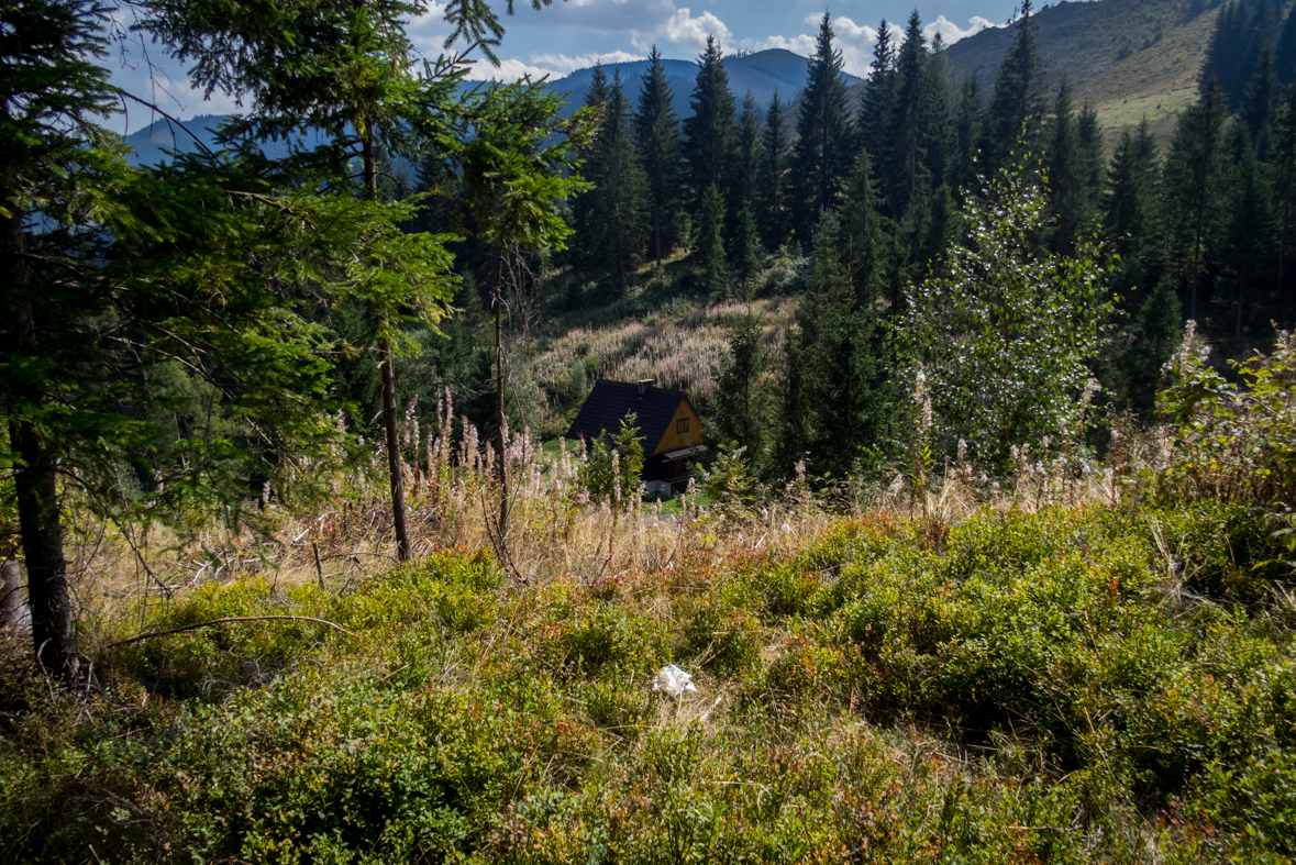 Zo Štefáničky cez Rovnú hoľu do Nižnej Boce (Nízke Tatry)