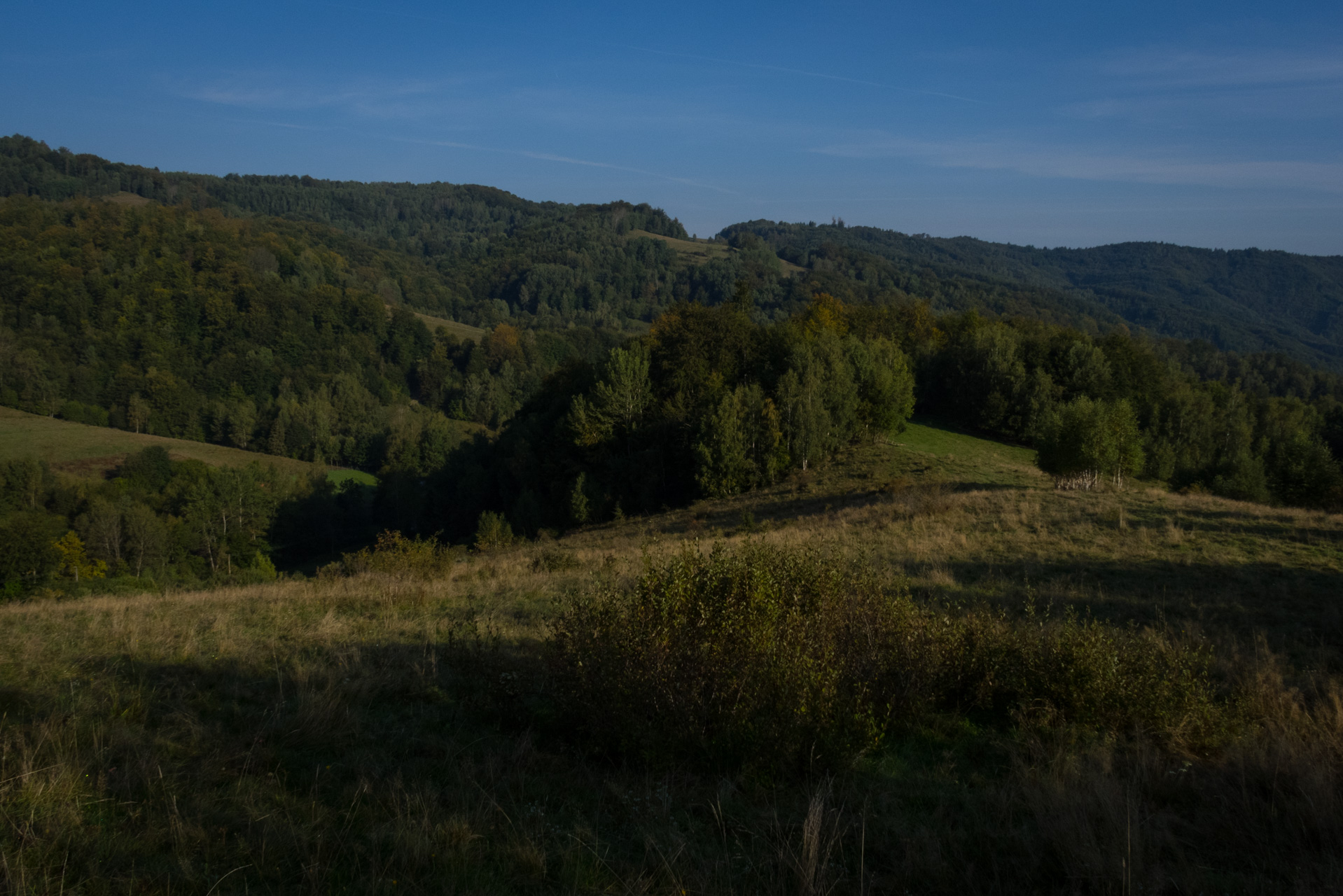 Bukový vrch a Žobrák z Krížov (Čergov)