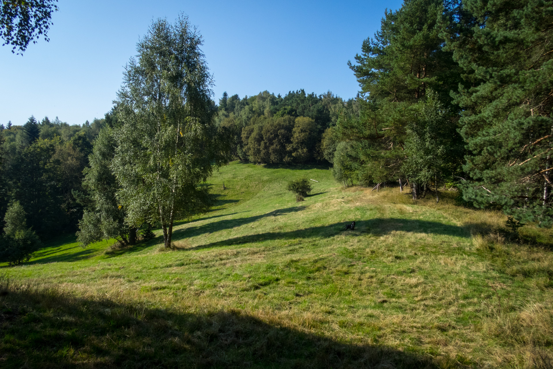 Bukový vrch a Žobrák z Krížov (Čergov)