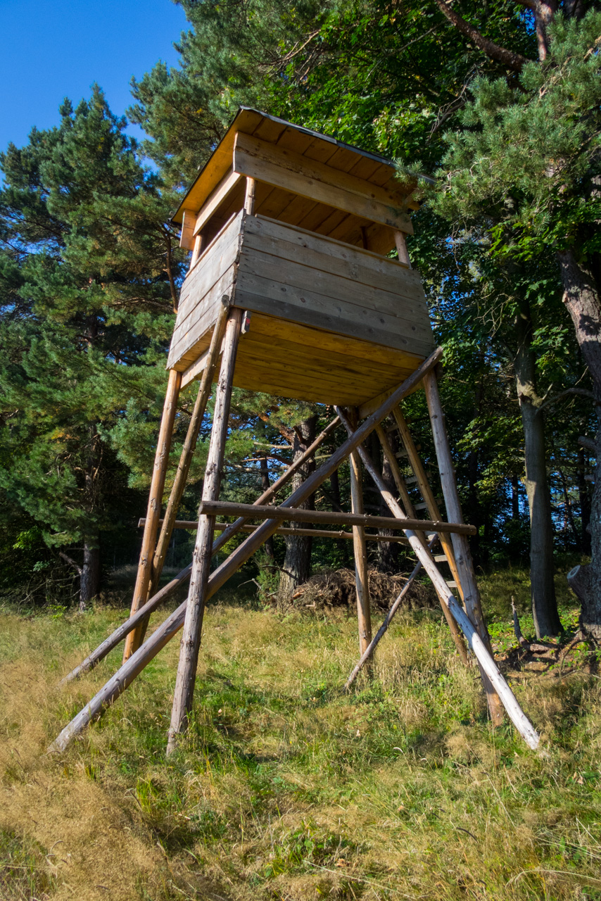 Bukový vrch a Žobrák z Krížov (Čergov)