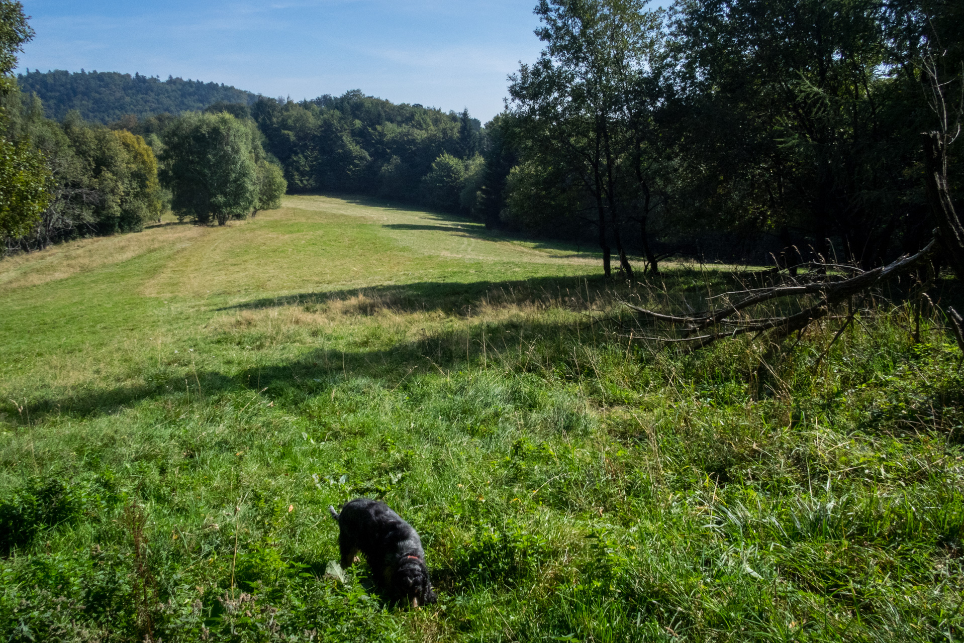 Bukový vrch a Žobrák z Krížov (Čergov)