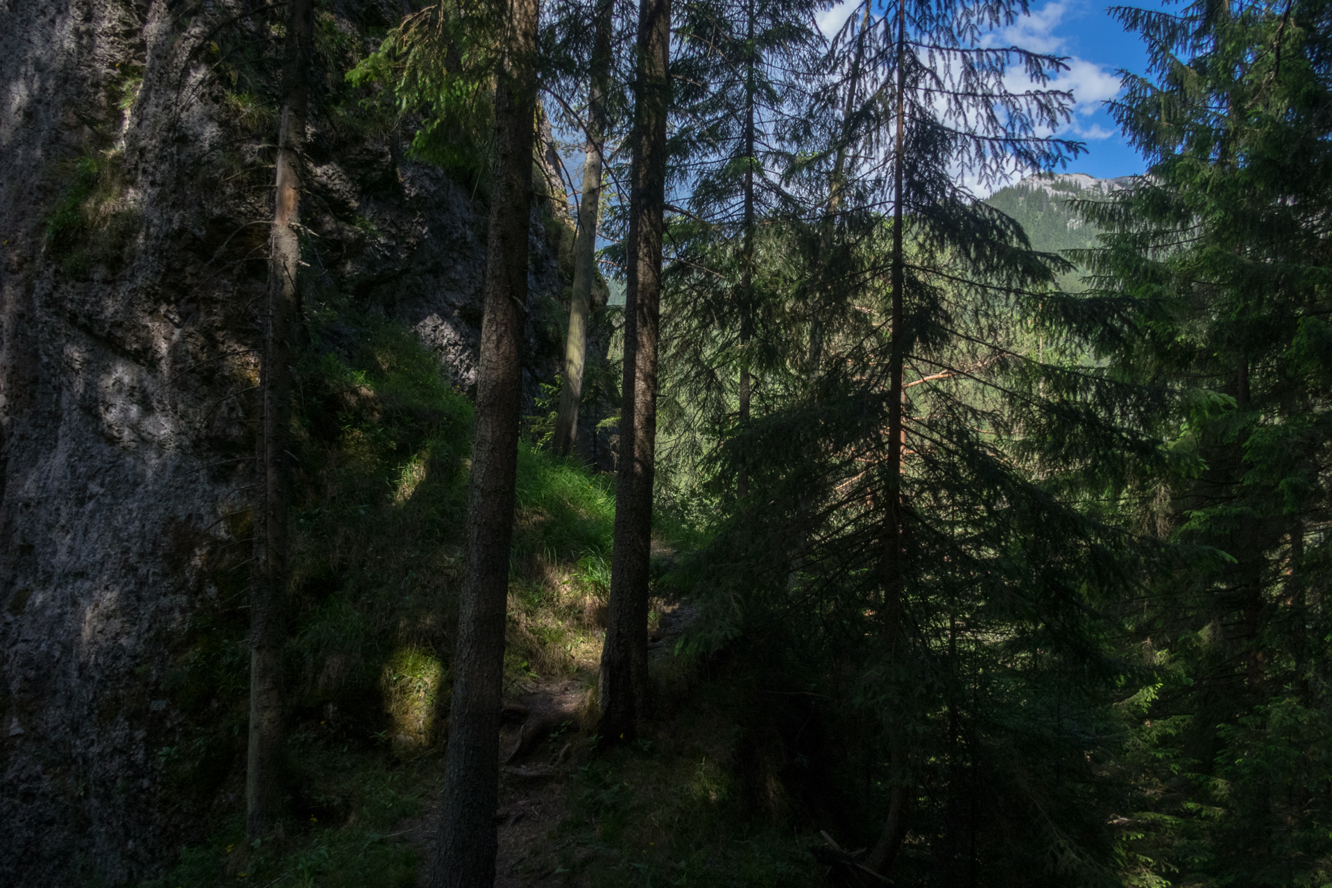 cez Krakovu hoľu do Iľanova (Nízke Tatry)