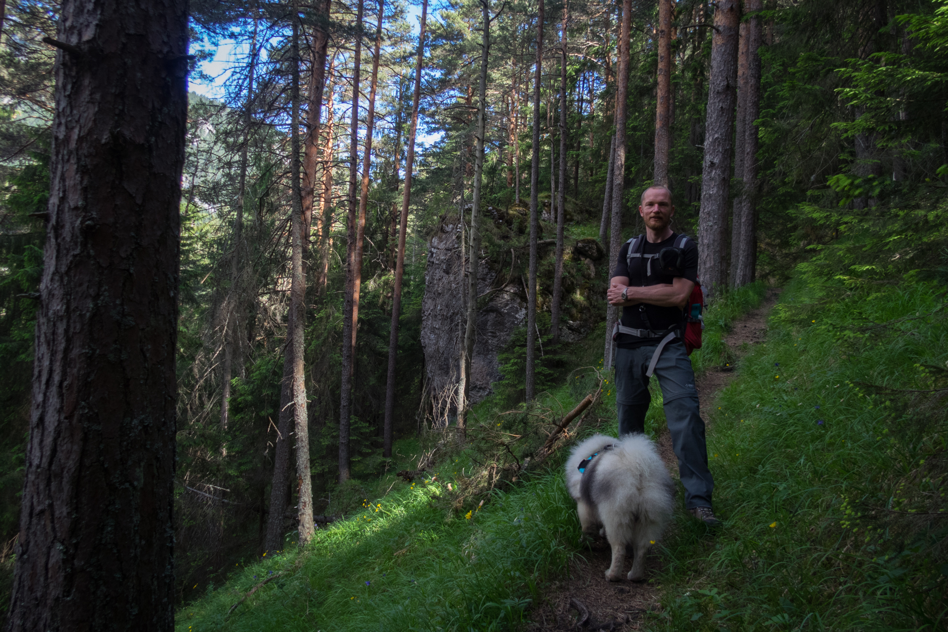 cez Krakovu hoľu do Iľanova (Nízke Tatry)