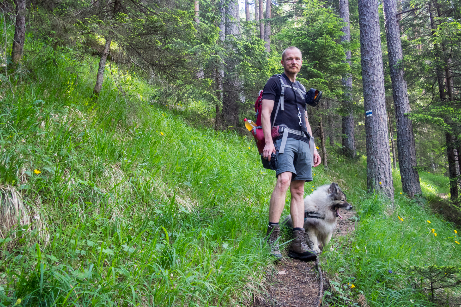 cez Krakovu hoľu do Iľanova (Nízke Tatry)