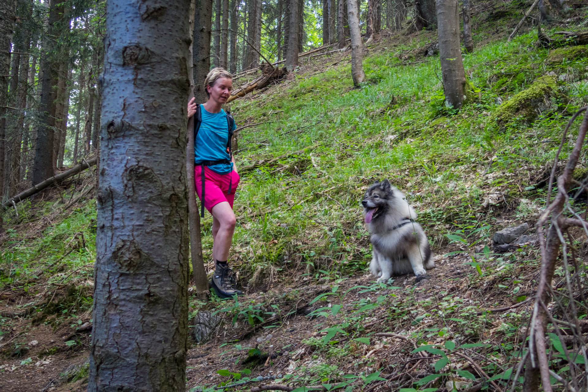 cez Krakovu hoľu do Iľanova (Nízke Tatry)